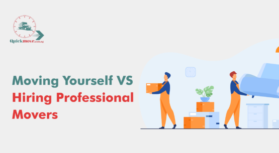 Moving Yourself vs. Hiring Professional Movers